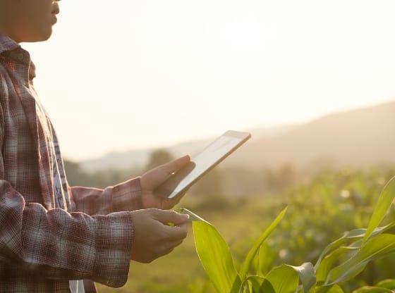 Farm Producer